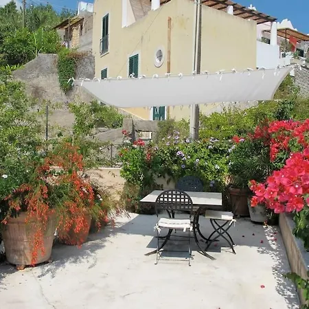 Cedar House, Canneto