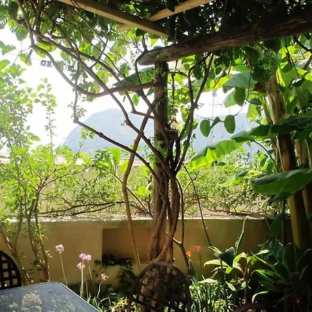 Cedar House, Canneto